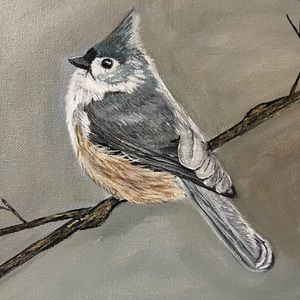 Original painting of a backyard bird the Titmouse